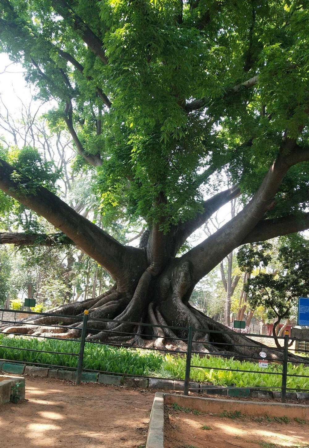 Фотоподборка от Димон за 04 апреля 2021