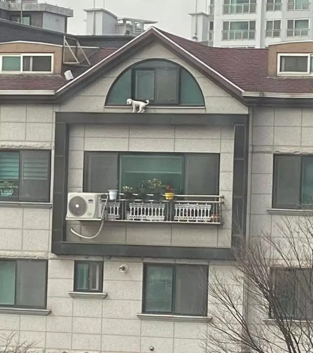 Фотоподборка от Димон за 04 апреля 2021