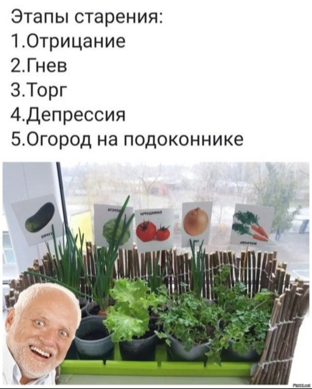 Смешные картинки про рассаду