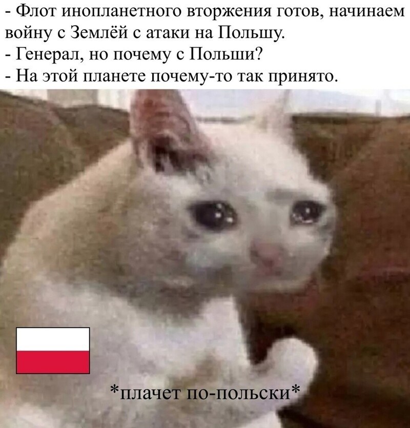 О политике и не только