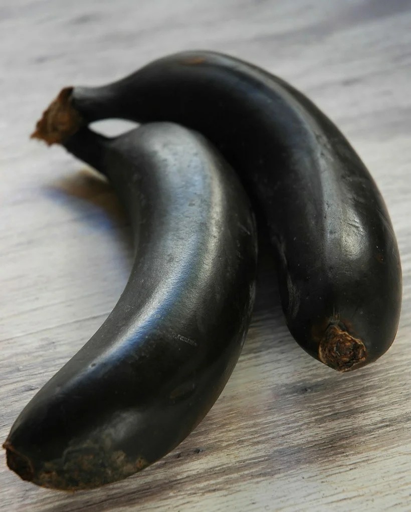 Огромный черный пенис. Черный банан. Черные бананы сорт. Необычные бананы. Огромный черный банан.