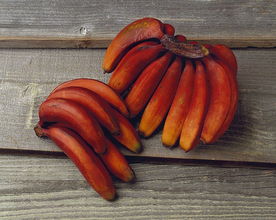 Оранжевые бананы.