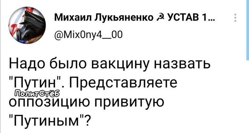 О политике и не только