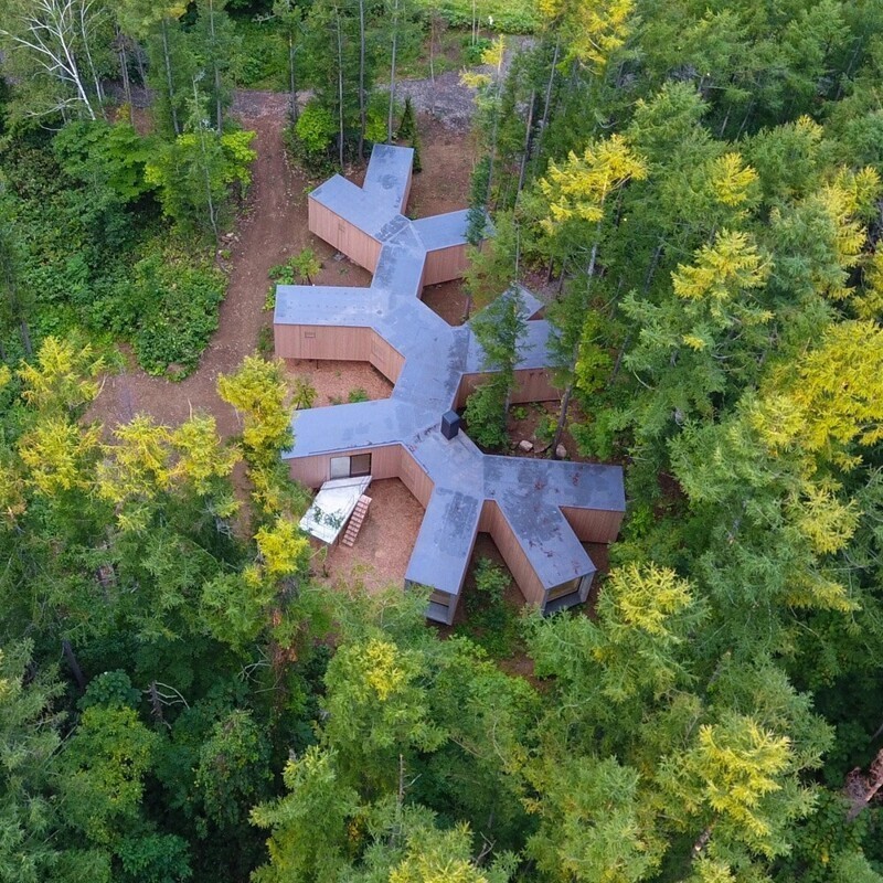 Архитекторы показали эко-домик в форме ветвей дерева