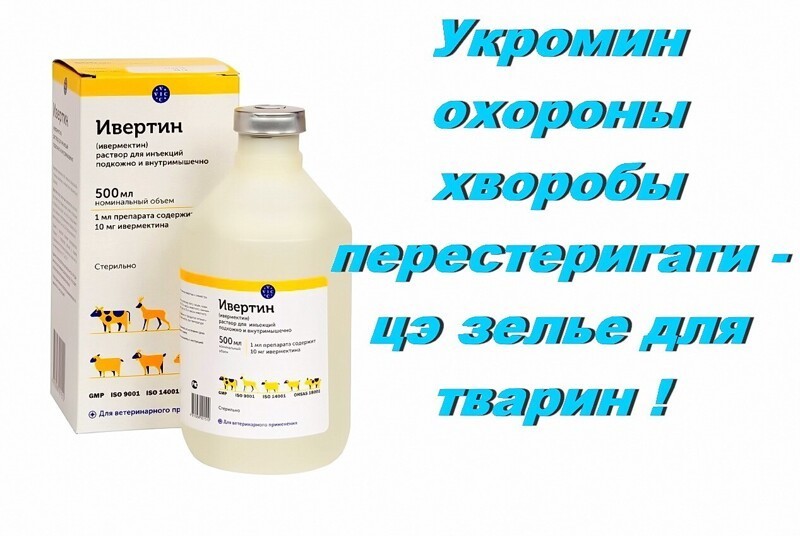  - Как будет называться русско-укроинская война?   -  Первая Братская.