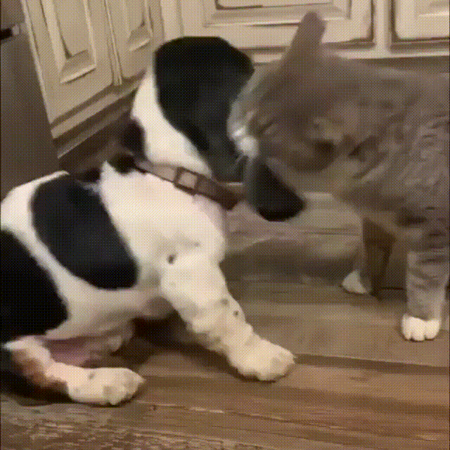 Просто такая сильная любовь