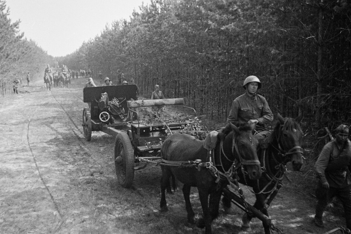 Лошади во время великой отечественной войны презентация