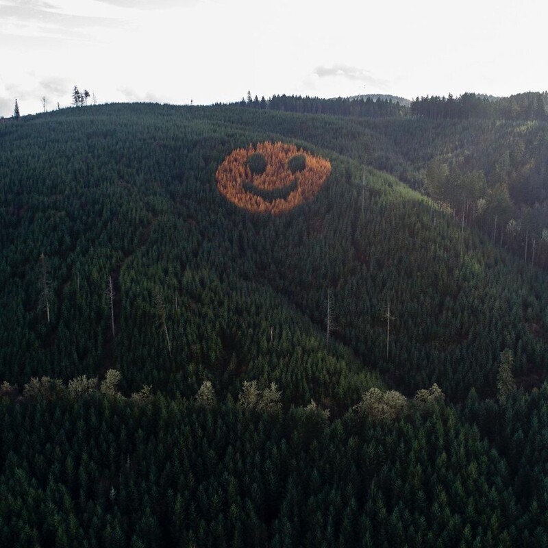 Людей, проезжающих по шоссе Route 18 в штате Орегон, США, в осенние месяцы или в начале декабря, ждёт уникальный вид, который обязательно украсит их день: гигантский смайлик, смотрящий на них с покрытого лесом склона холма.