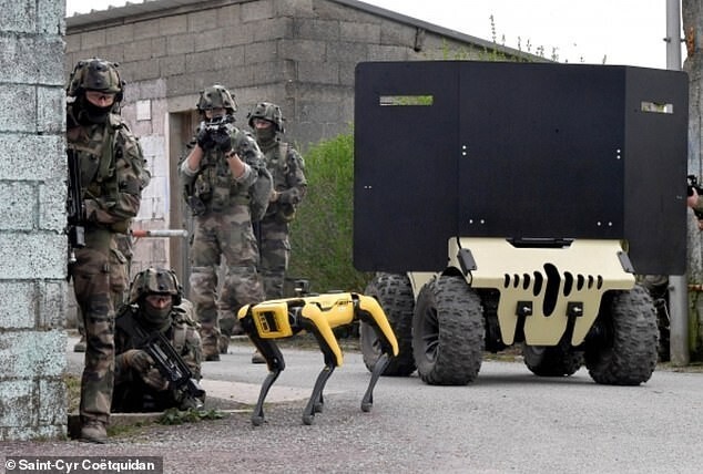 Французская армия приняла на службу робота-собаку