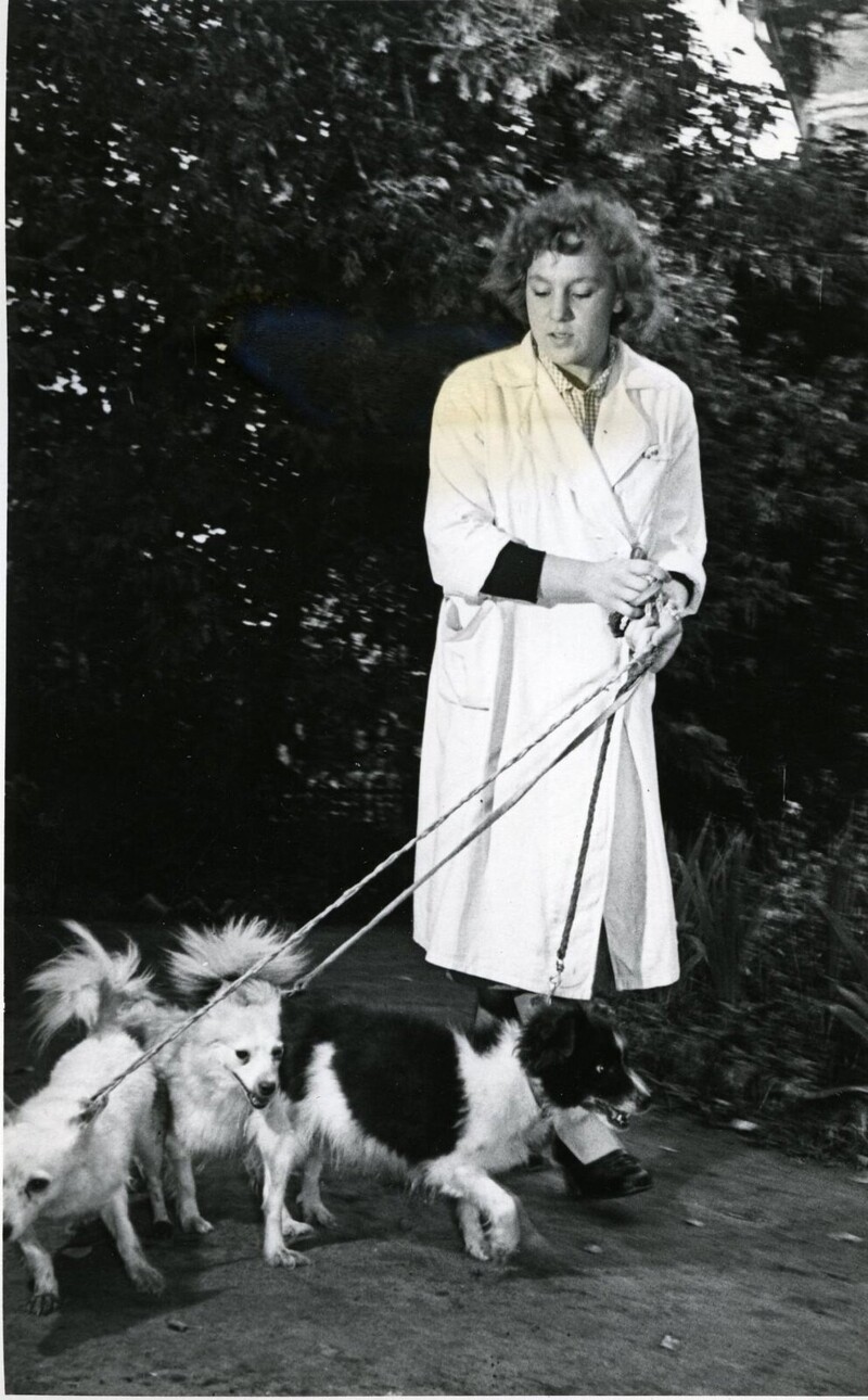 1958. Собаки Дымка и Козявка на прогулке в саду близ лаборатории. 25.09