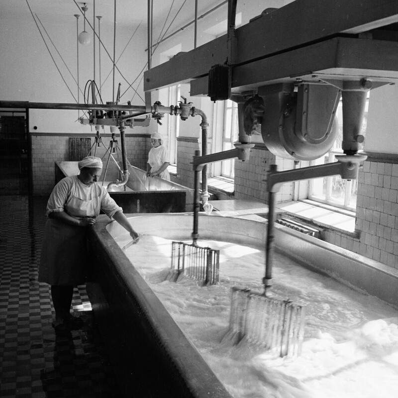Углич, в цехе сыроваренного завода, 1952