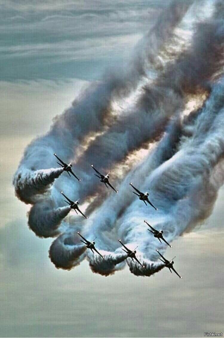 https://cdn.fishki.net/upload/post/2021/04/10/3703491/83f8d12faa978c219a6e87ac7bc1d82b.jpg