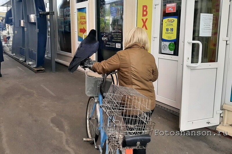 Бродя по Санкт-Петербургу