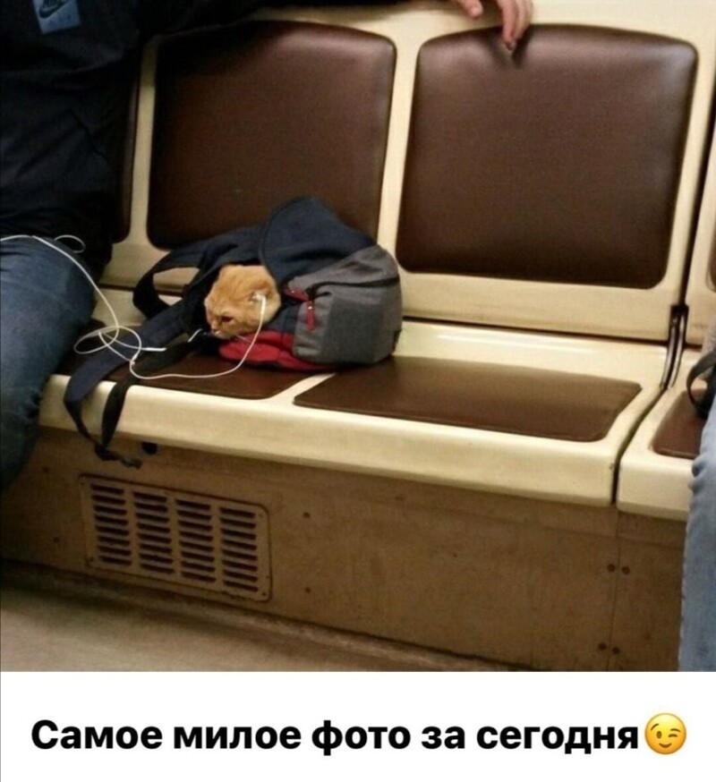 Полит юмор, и не только!