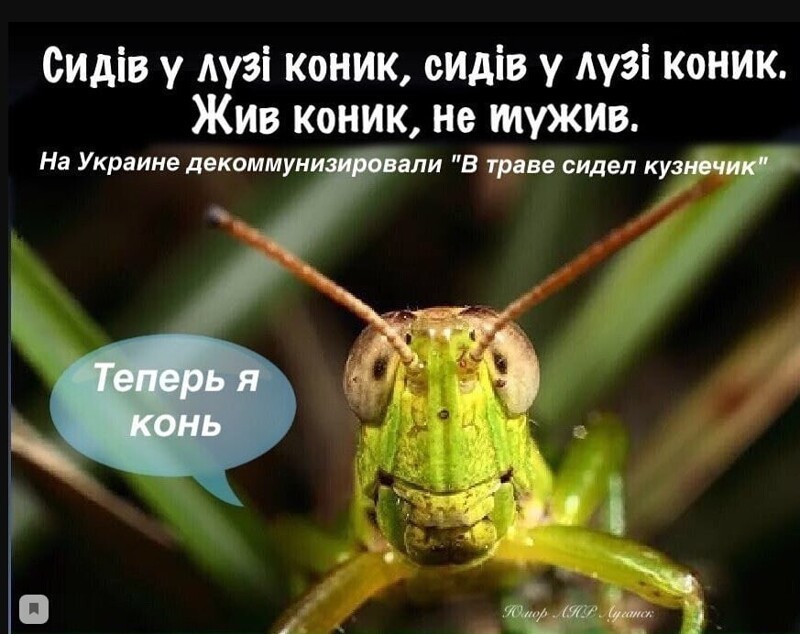 Полит юмор, и не только!