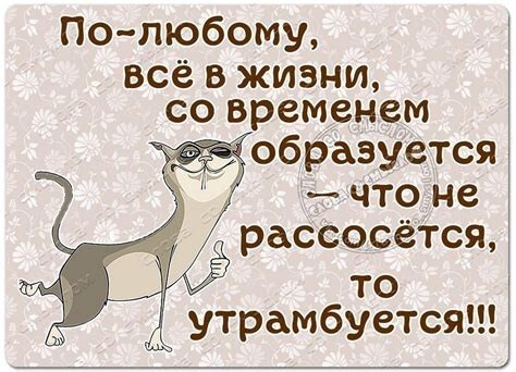 Полит юмор, и не только!