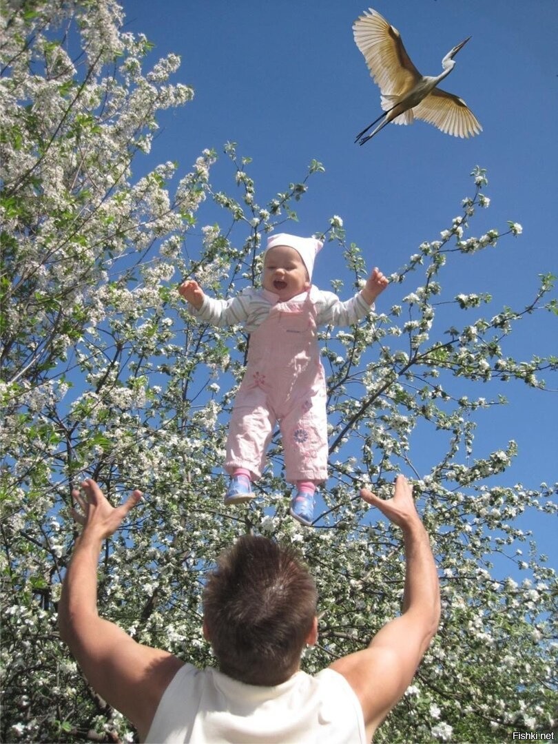 https://cdn.fishki.net/upload/post/2021/04/12/3705573/122a78edeaed0bbbfc66ebfffe79ef20.jpg