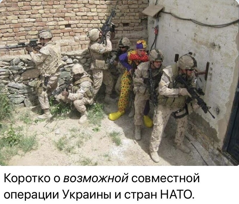 О политике и не только