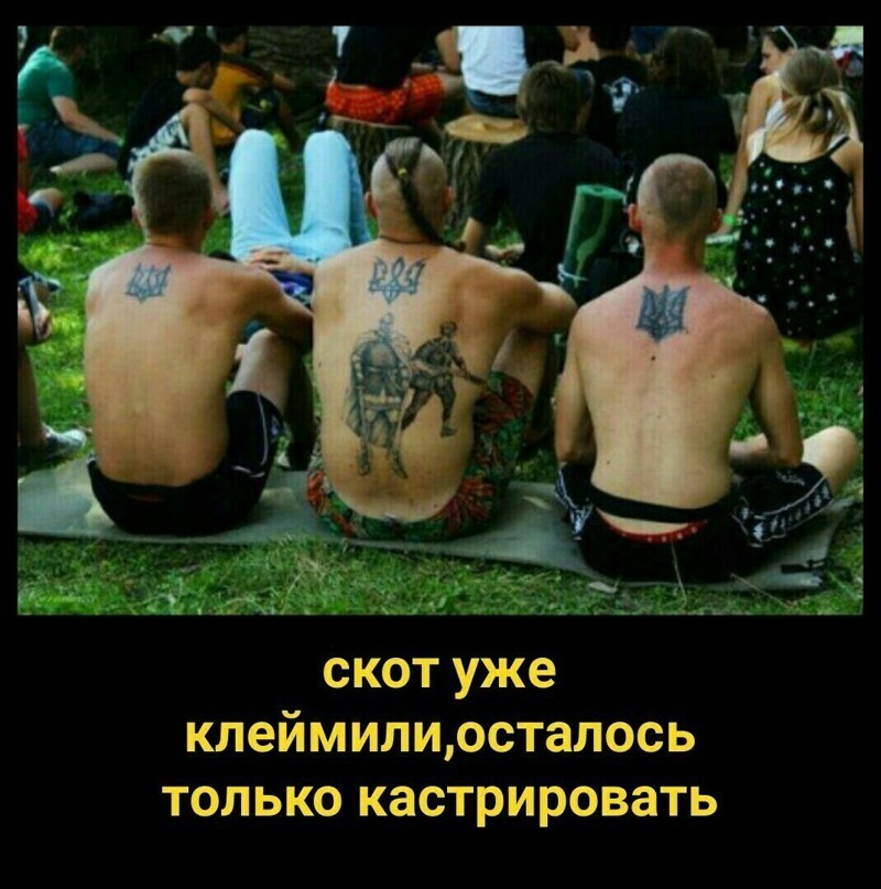 О политике и не только