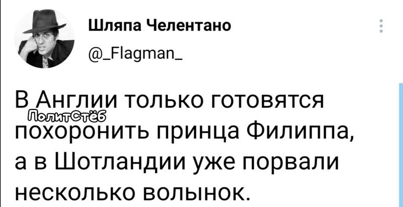 О политике и не только