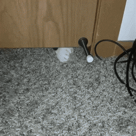 Кошачьи гифки Кошачьи гифки