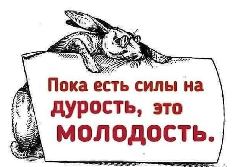Полит стёб, и не только, в картинках