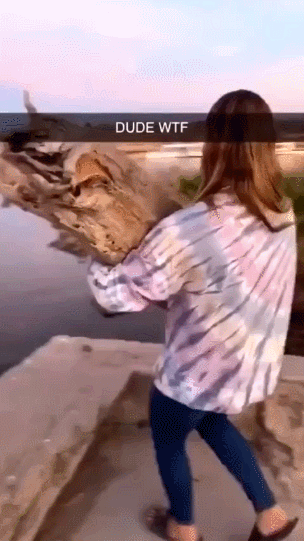 И зачем ей сдалось это дерево