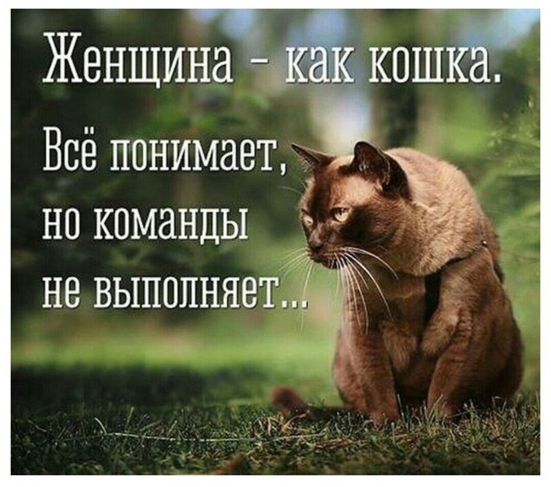 Полит.стёб и другие картинки четверга 15.04.2021