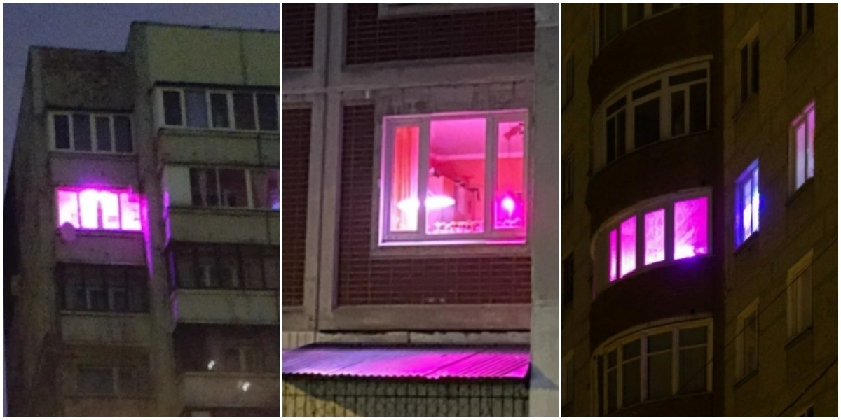 Почему окна некоторых. Розовые окна в домах. Розовая подсветка в окнах. Ультрафиолетовые лампы в окнах домов. Розовый свет в окнах.
