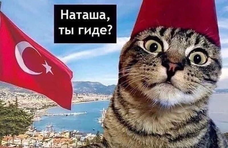 Как “нищие” россияне готовились оставить в Турции $400 млн за месяц