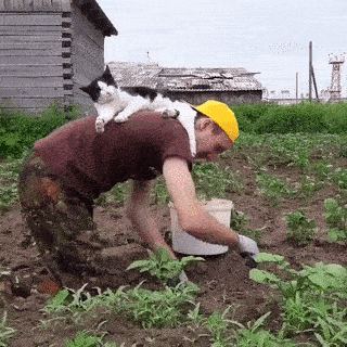 Просто гифки, всякие и разные