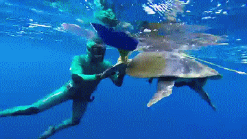 Просто гифки, всякие и разные