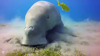 Просто гифки, всякие и разные