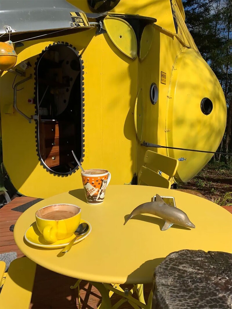 "Безумный ученый" из Новой Зеландии построил в лесу желтую подводную лодку