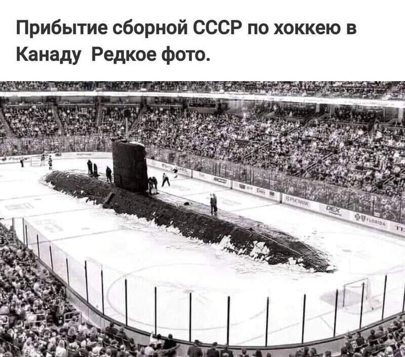 О политике и не только