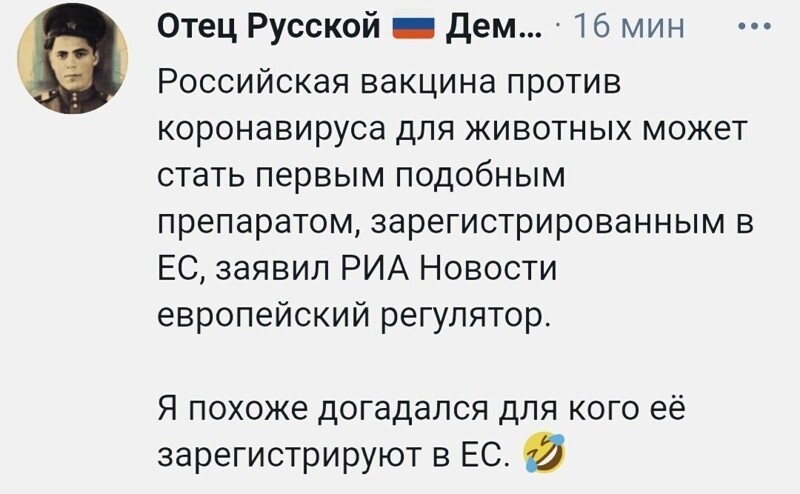 О политике и не только