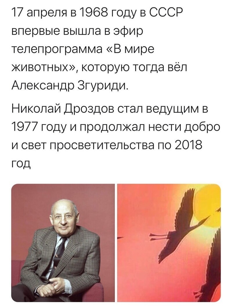О политике и не только