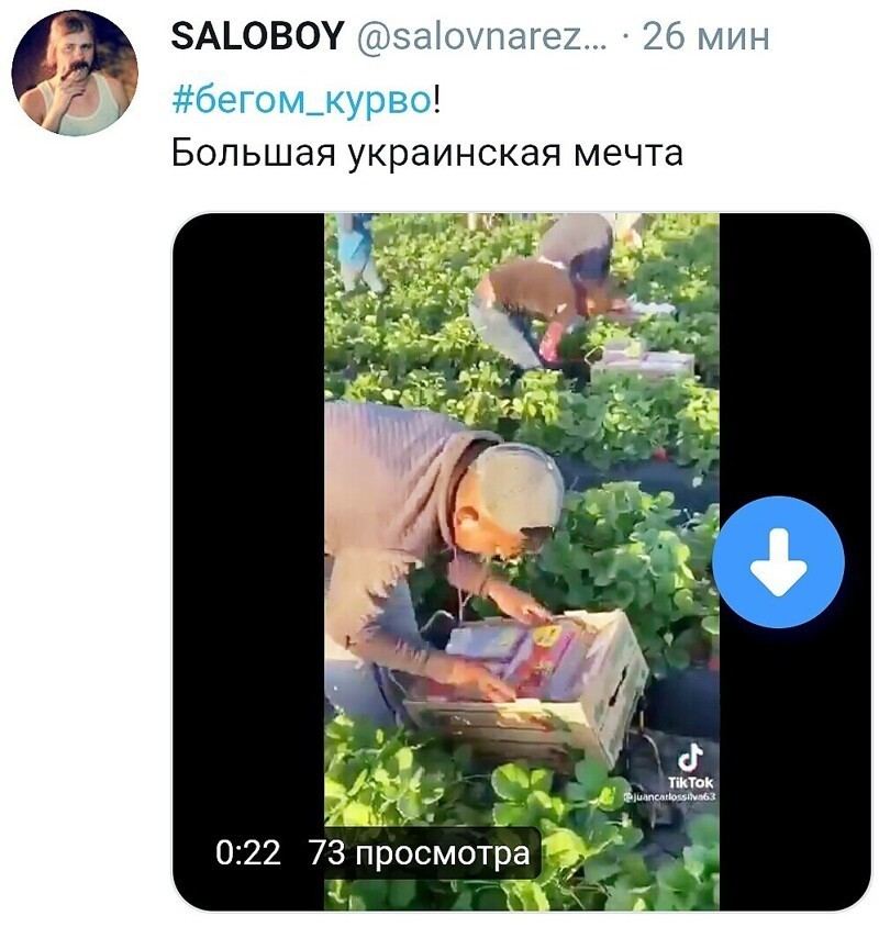 О политике и не только