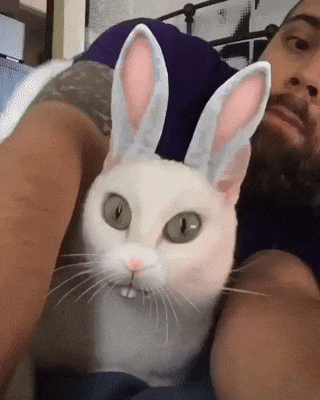 Когда твой хозяин полон креатива