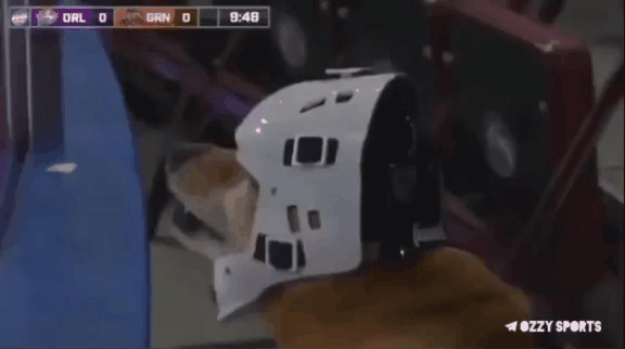 Болельщики бывают разные