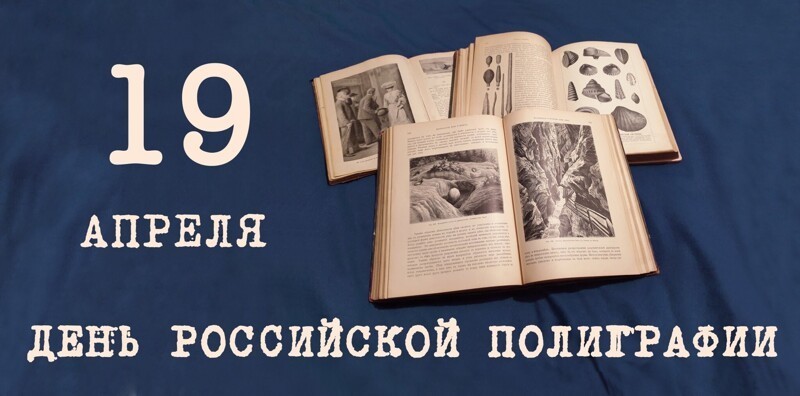 О политике и не только