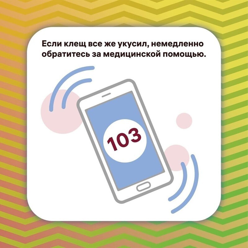 Безопасный отдых на природе: как избежать укусов клещей