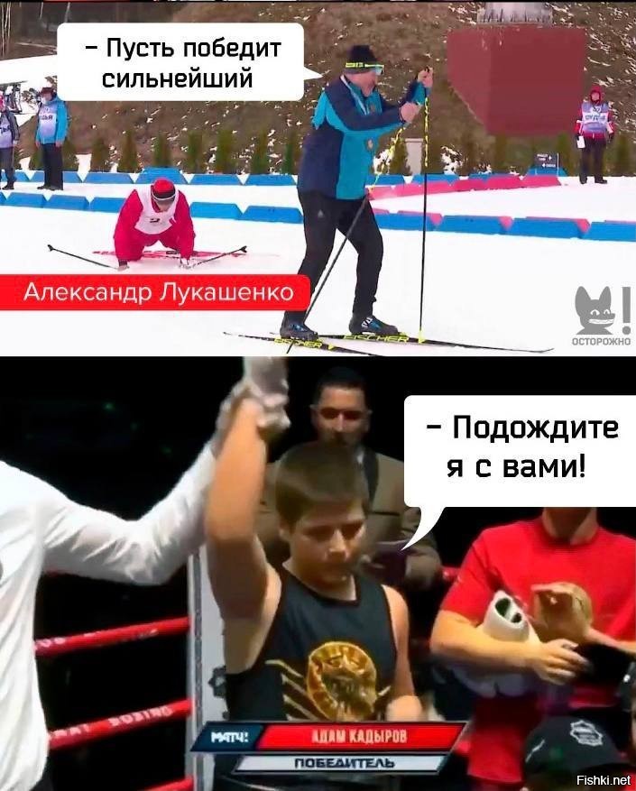 Пусть победят сильнейшие. Кадыров мемы. Сыновья Кадырова бокс мемы. Мемы про Кадырова. Сын Кадырова Мем.