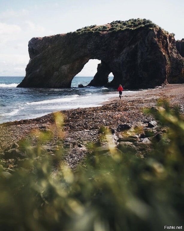 Мыс птичий сахалин фото