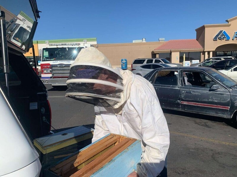 Американец на 10 минут отошел в супермаркет, а его авто оккупировали тысячи пчел