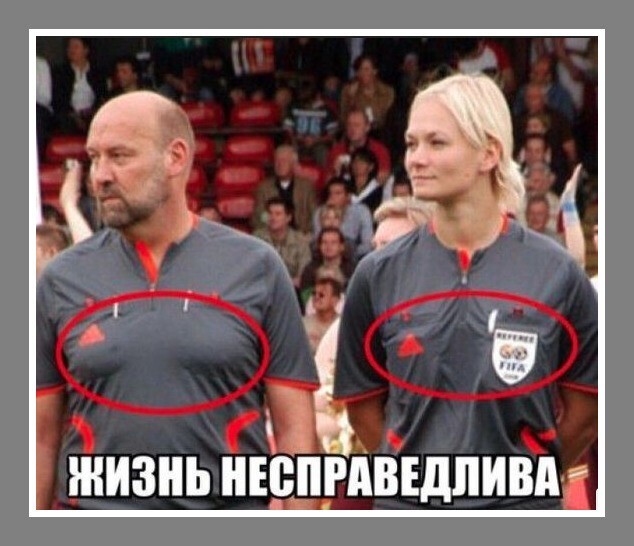 Юмор, сатира, цитаты, всё из жизни и ситуаций
