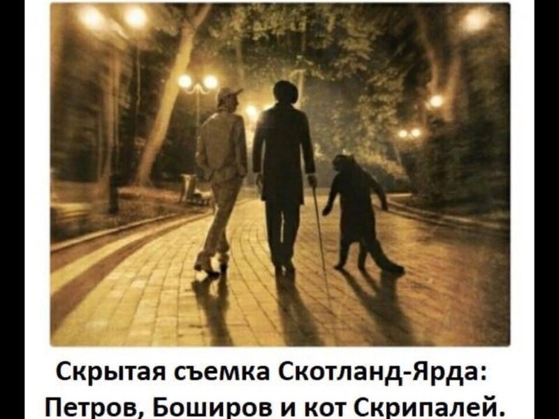 О политике и не только