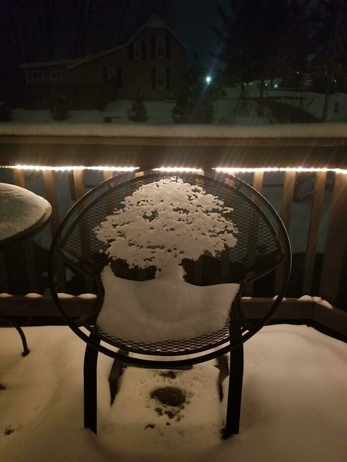 "Тающий снег на стуле сформировал силуэт дерева"