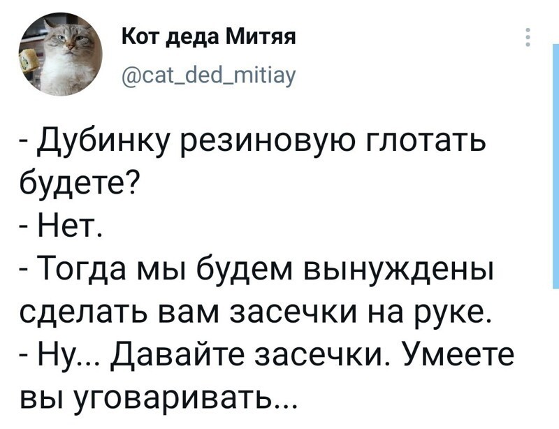 О политике и не только