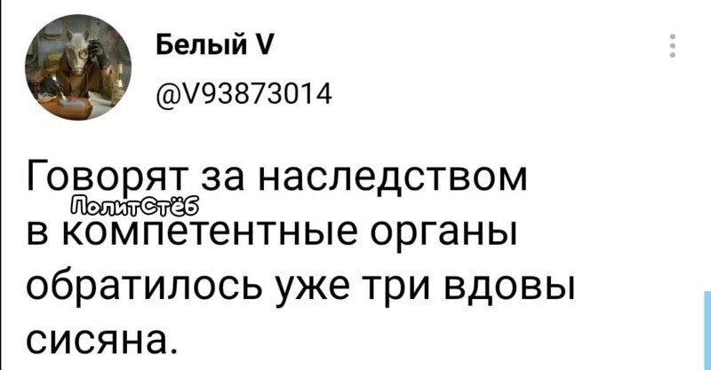 О политике и не только